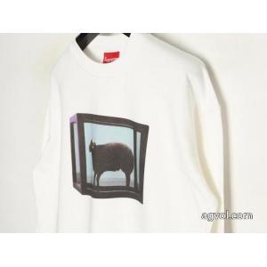 ブランド コピー 着払いパーカーSUPREME26/26AW新作 入手困難 売れた商品.