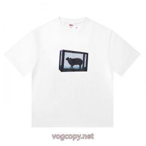 半袖Tシャツ通販 ブランドシュプリーム発売極限状態！ 魅惑 目玉商品セール