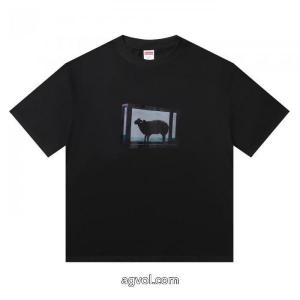 スーパー コピー 販売春の新生活 数量限定特価 正規品保証半袖TシャツSUPREME