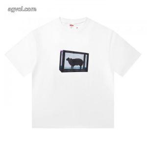 スーパー コピー 販売春の新生活 数量限定特価 正規品保証半袖TシャツSUPREME