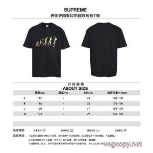半袖Tシャツブランド 通販店控えめにしてヘルシーな印象 特価高品質 独特SUPREME