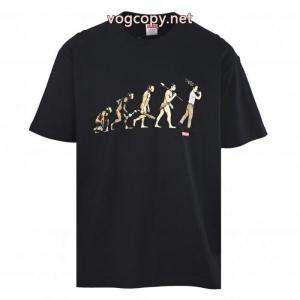半袖Tシャツブランド 通販店控えめにしてヘルシーな印象 特価高品質 独特SUPREME