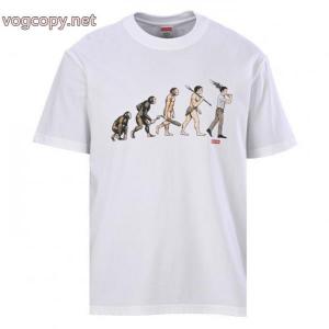 半袖Tシャツブランド 通販店控えめにしてヘルシーな印象 特価高品質 独特SUPREME