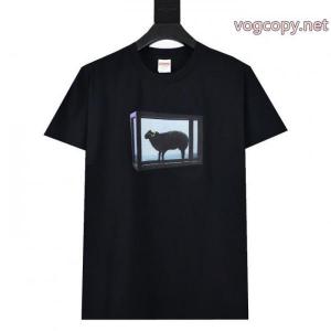 Supreme 25 ss Damien Hirstアーティスト連名金角ヤギプリント半袖Tシャツ
