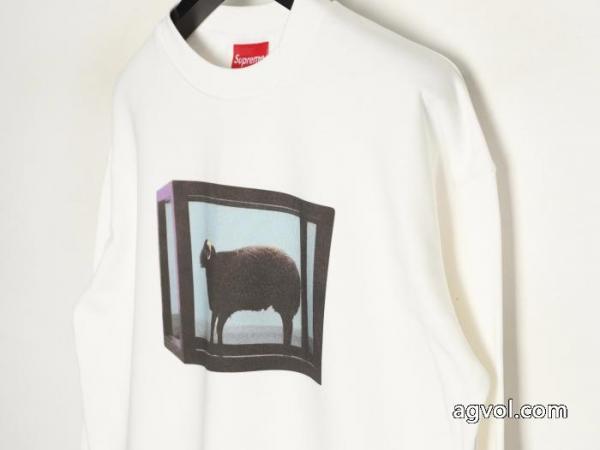 ブランド コピー 着払いパーカーSUPREME26/26AW新作 入手困難 売れた商品. 3