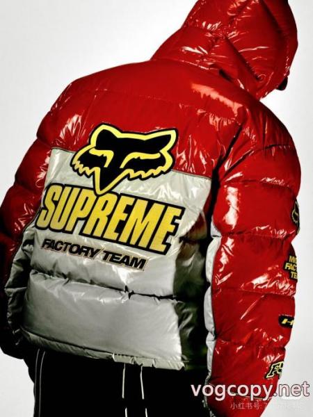 海外限定モデル 新作 冬の必須アイテムを 即納可SUPREMEブランド スーパー コピー 優良ダウンジャケット 7