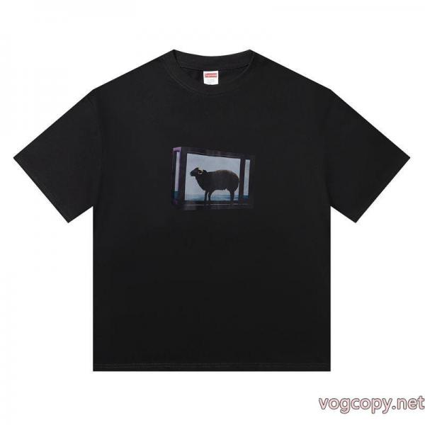 半袖Tシャツ通販 ブランドシュプリーム発売極限状態！ 魅惑 目玉商品セール 0 