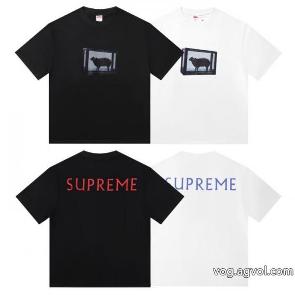 スーパー コピー 販売春の新生活 数量限定特価 正規品保証半袖TシャツSUPREME 0
