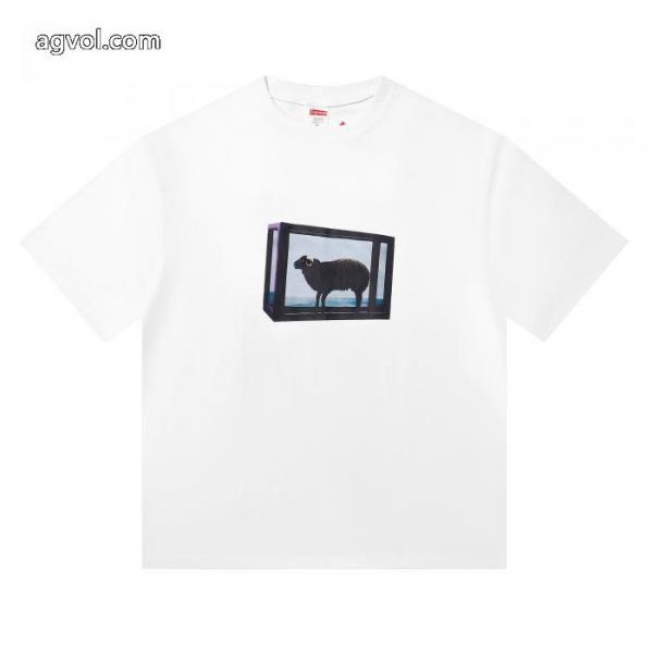 スーパー コピー 販売春の新生活 数量限定特価 正規品保証半袖TシャツSUPREME 4