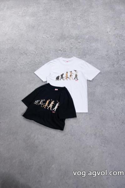 雑誌掲載 大人気新作登場 魅力的な今年らしい半袖TシャツSUPREMEスーパー コピー ブランド 通販 0