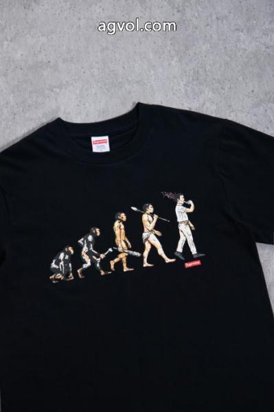 雑誌掲載 大人気新作登場 魅力的な今年らしい半袖TシャツSUPREMEスーパー コピー ブランド 通販 2