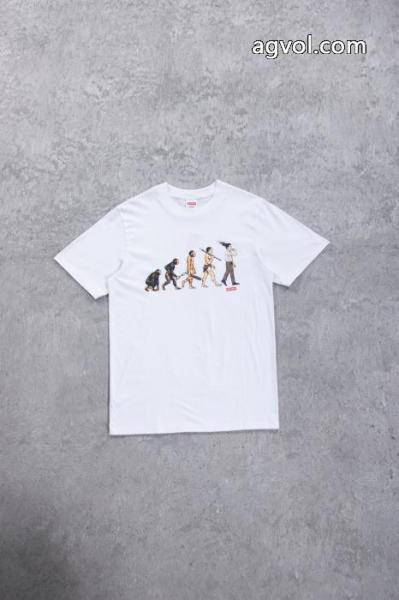 雑誌掲載 大人気新作登場 魅力的な今年らしい半袖TシャツSUPREMEスーパー コピー ブランド 通販 3