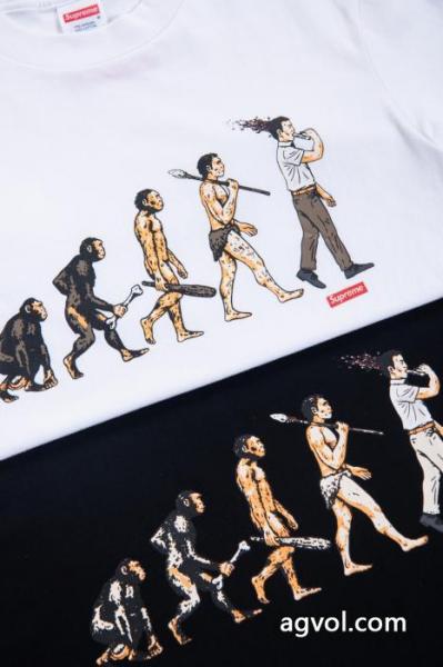 雑誌掲載 大人気新作登場 魅力的な今年らしい半袖TシャツSUPREMEスーパー コピー ブランド 通販 5